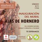 WhatsApp Image 2024-11-08 at 08.23.11