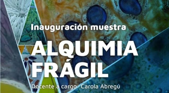 4 al 13/11: ALQUIMIA FRAGIL en Córdoba