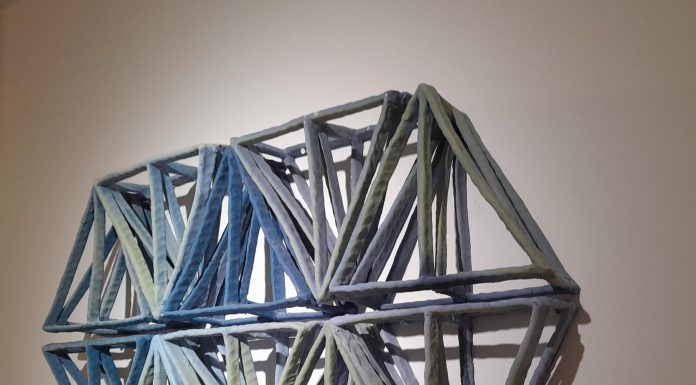 SUPERFICIES DE PLACER por Eugenia Bracony