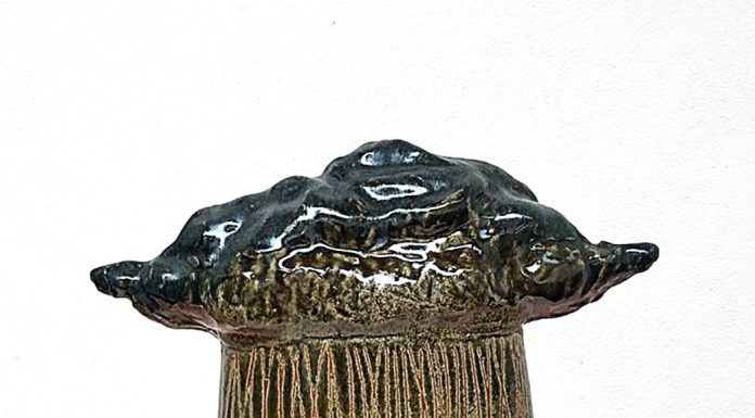 “Cien Tormentas” por GUILLERMO MAÑÉ