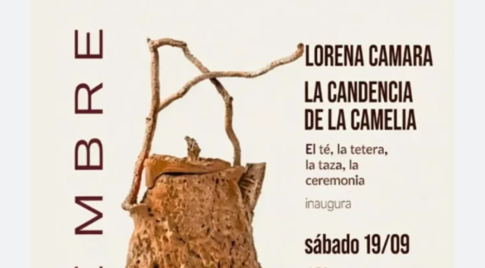 desde el 19/9: LORENA CAMARA «La candencia de la camelia» en FRACTALES