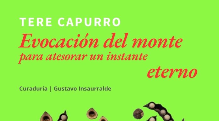hasta el 15/10: «Evocación del monte para atesorar un instante eterno» por Teresita Capurro.