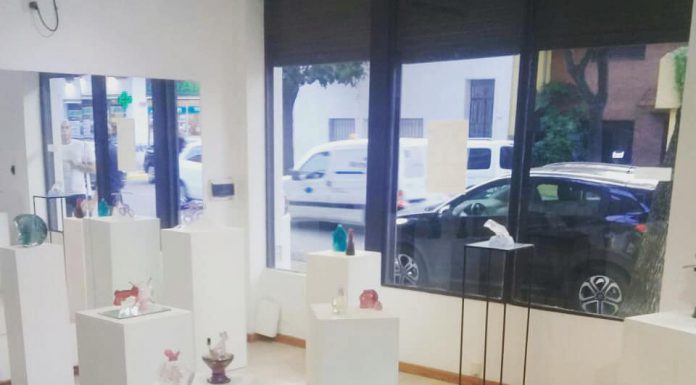 DE PRESENCIAS Y AUSENCIAS