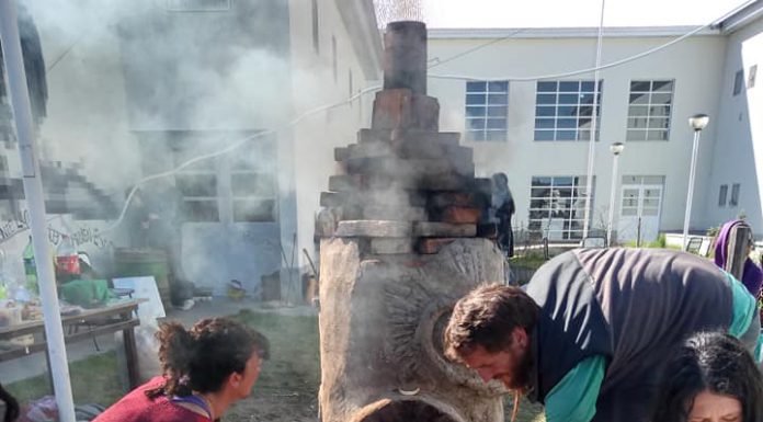 COMARCA ANDINA DEL PARALELO 42