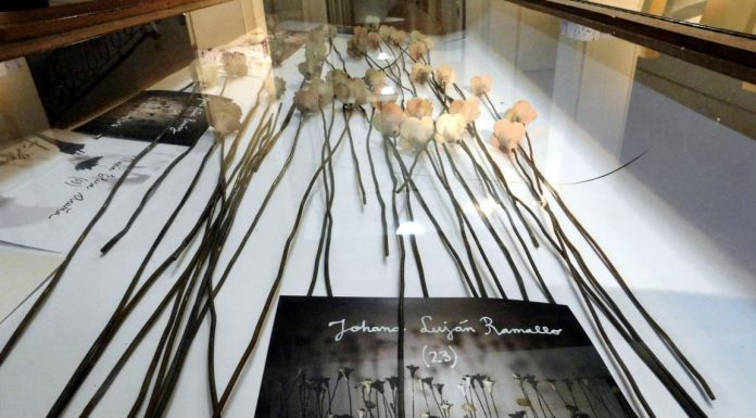 MUESTRA DE FLORENCIA MELO