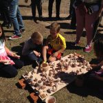 71200303_1368804459941099_879222707919519744_o