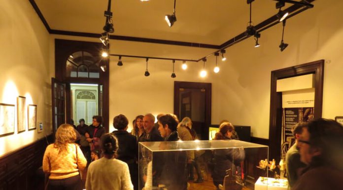 MARAVILLAS DE LA VIDA ANIMAL