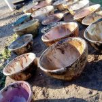 IMG_20190920_171253_163