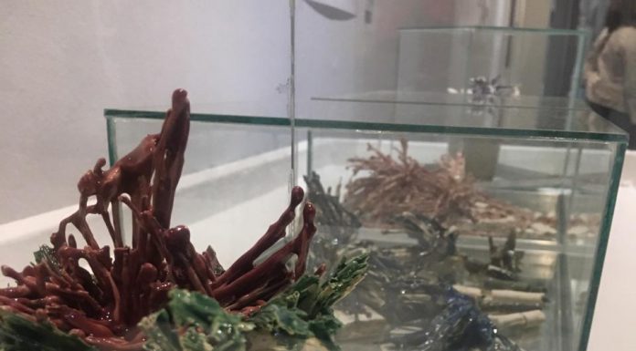 Elena Elizalde en «Efemérides IV»