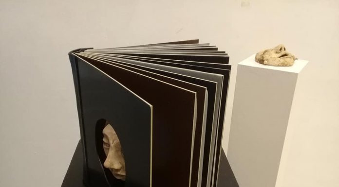 LIBRO OBJETO por Liliana Martín