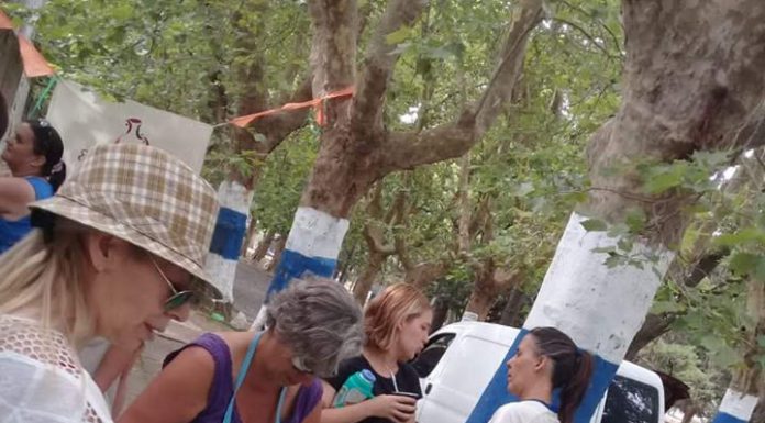 MURAL COLECTIVO EN LA PLATA