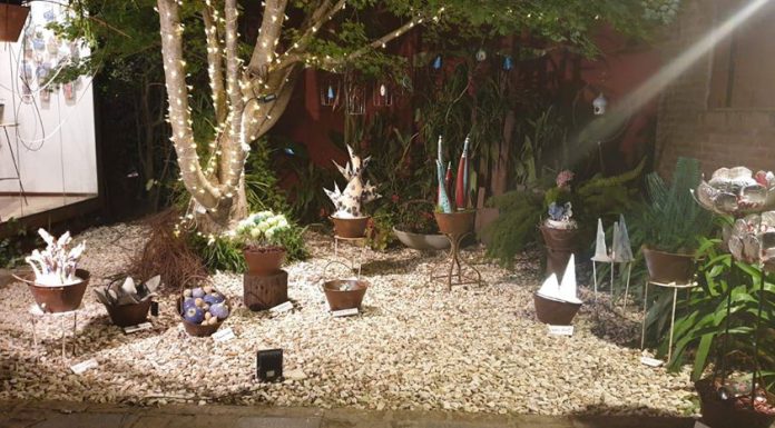 CHARO PERELLI TALLER