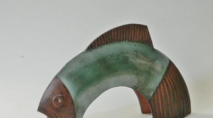 «Un mundo de peces» por Juan Pache