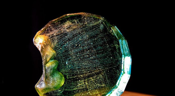 ANDREA da PONTE en Bulgaria