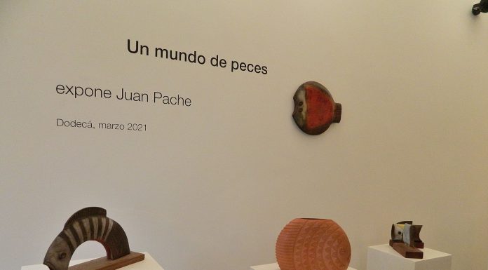 JUAN PACHE en UN MUNDO DE PECES 2021