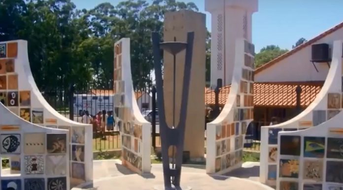 Cristina Del Castillo en Ciclo Webinar CAAC