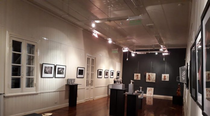 DE LA LUZ A LA FORMA…