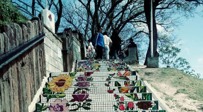 ESCALERA DE LAS FLORES en San Pedro