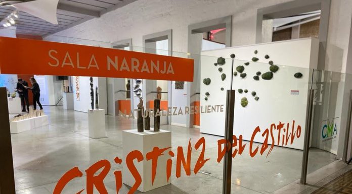 NATURALEZA RESILIENTE por Cristina del Castillo