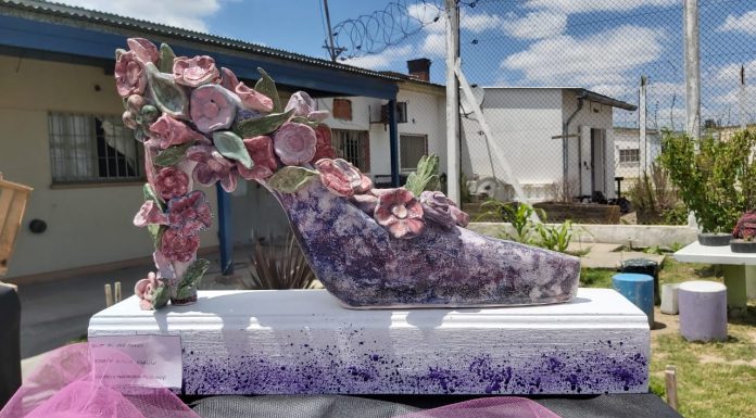 Campaña #SalirAdelante