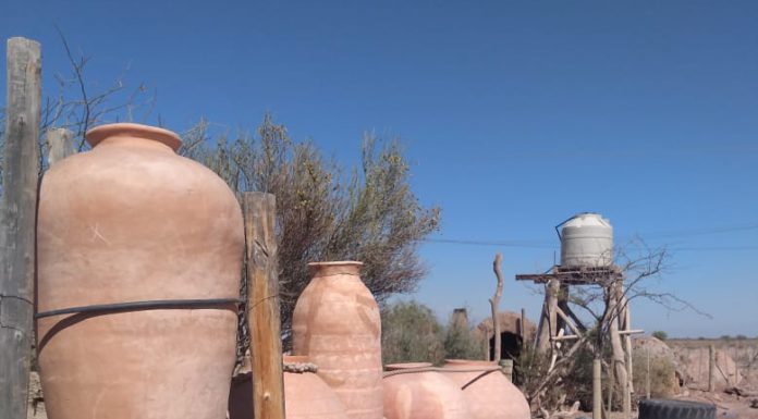 Taller de Nardo Morales – Comunidad Huarpe