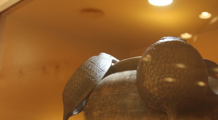 ARTESANÍA RANQUEL EN EL CENTRO CULTURAL BORGES