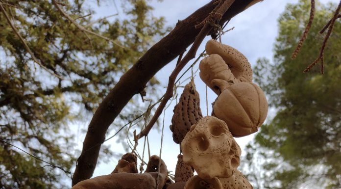 COLECTIVA TRANSITORIA