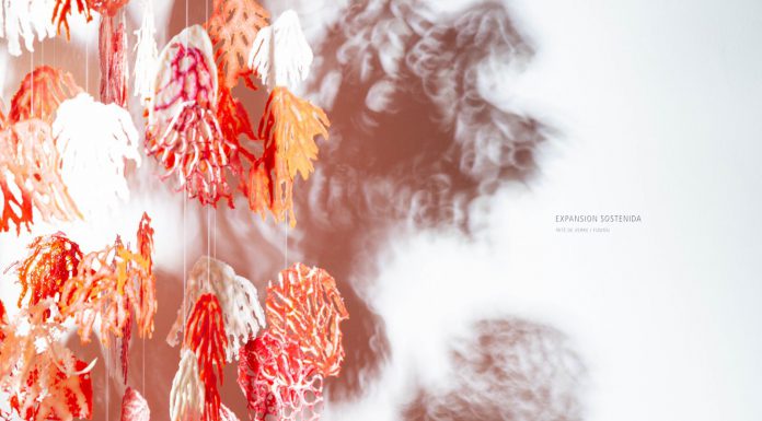 VARIACIONES DE UN CORAL por Silvina Lewin