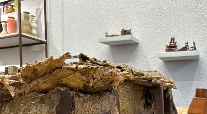 «Lo pequeño de las casas» por Graciela Olio