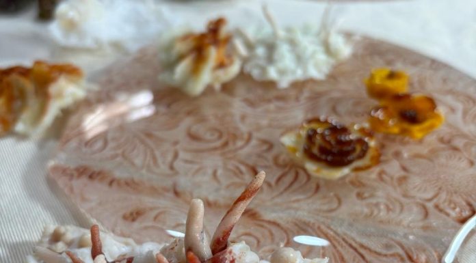 REBROTE DE AMOR por Paula Lekerman