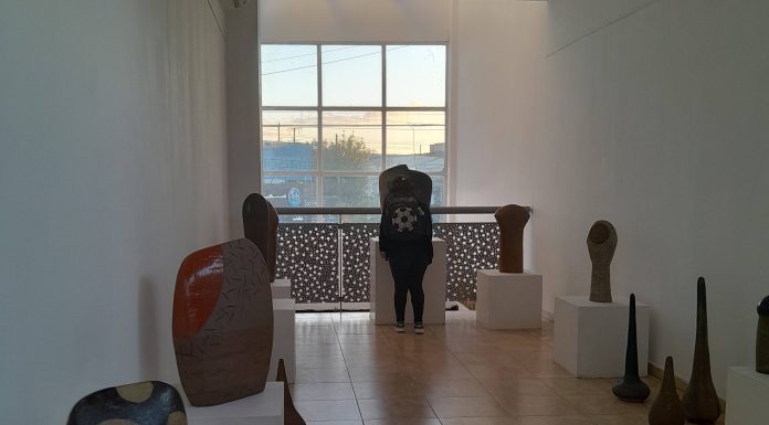 «Gotas en el Bosque de piedra» por Guillermo Mañé