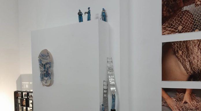 ENTRE FUEGOS Y FIBRAS