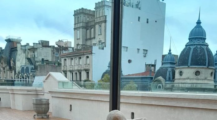 «DISTINCION» en Areatec Edificio Cassará