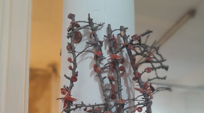 VERONICA DILLON en VOCES EN RED – AAVRA