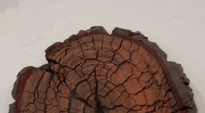 Cristina Corte del Castillo en ArteCo