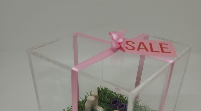 «UN FUTURO POSIBLE en SALE «por Natalí Perino