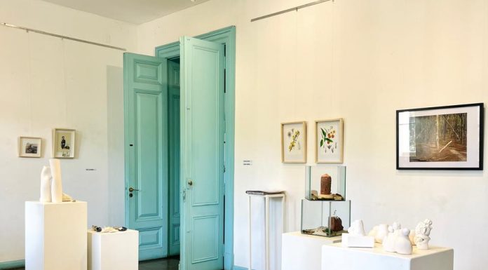 INSTANTE PULSAR en La Casona de los Olivera