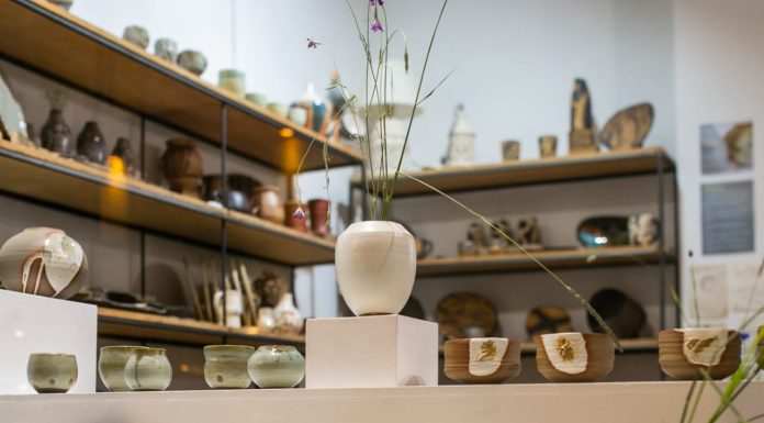 «ANIMA» por Yami Carlino