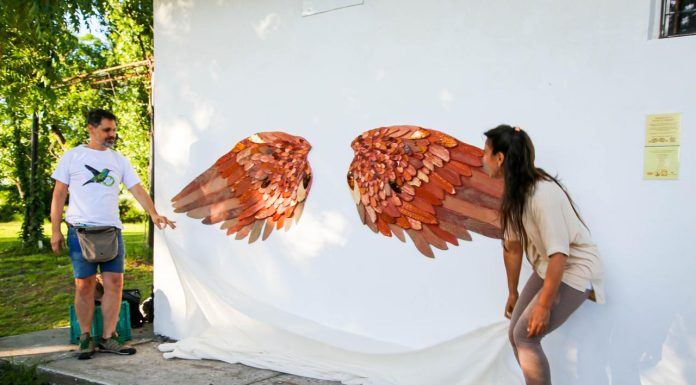 ALAS DE HORNERO en El Palomar