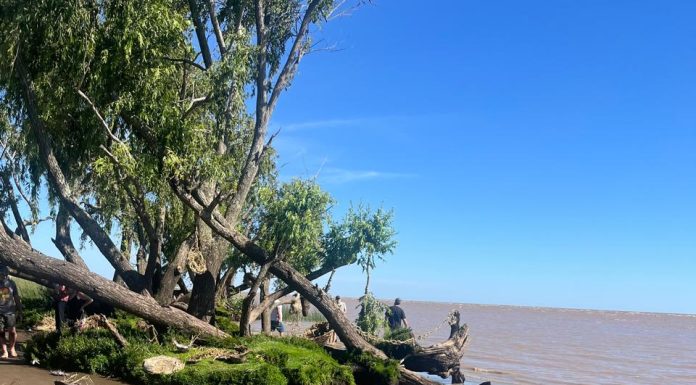 JUGANDO CON LA MAREA, PERFUMADITA DE BREA: ARTE POR EL AGUA Y LOS HUMEDALES