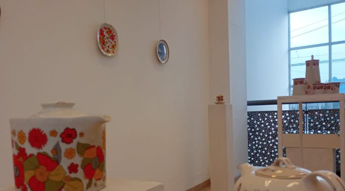 HABLEMOS DE LOZADUR en IMCAEV