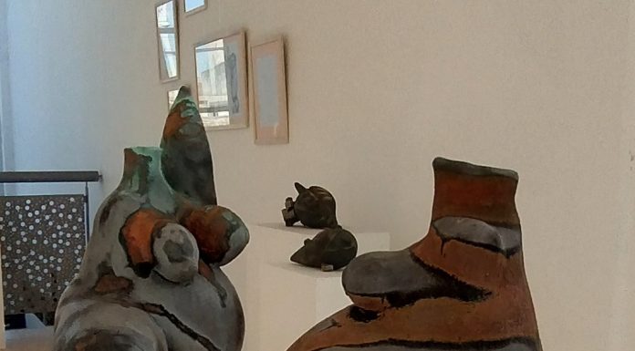 «PECADORES» en IMCAEV