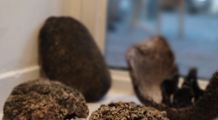 “Puro Barro” por Tomás Pearson