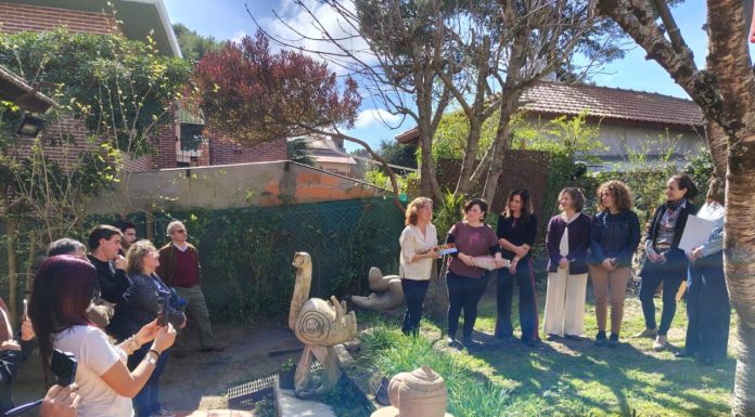 Reconocimiento a las muestras «Mundo Pájaro I y II» del Grupo TRAMA 4+1