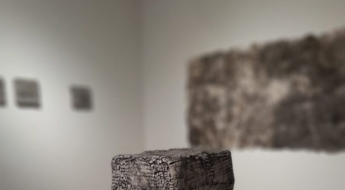 UN MAPA PARA LO FRAGIL: Habitar y Sentir los Paisajes