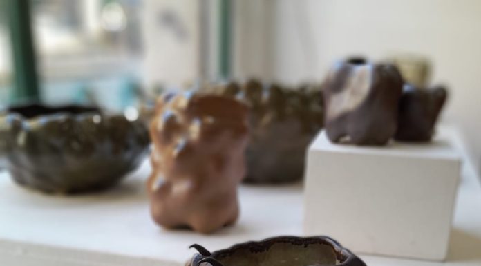 Autorefugio del hacer: la obra de ARIEL WALTER