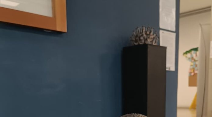 “Disbiosis coyuntural” de ARIEL WALTER en Undav