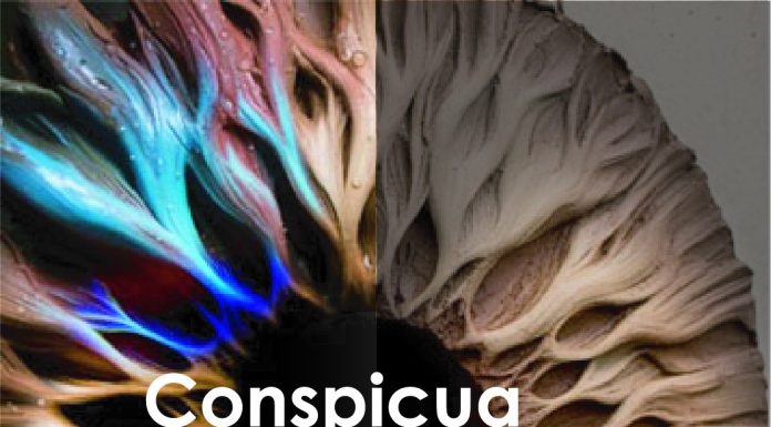hasta 29/11: CONSPICUA CERAMICA en Mendoza