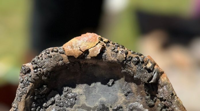 Áspero, raro y excluido