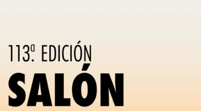 CONVOCATORIA: 113º SALÓN NACIONAL DE ARTES VISUALES
